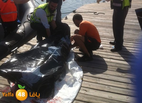 3reeqnorthyaffa407 (1).JPG